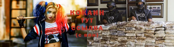 прущие крисы Арсеньев