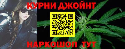 крисы Баксан