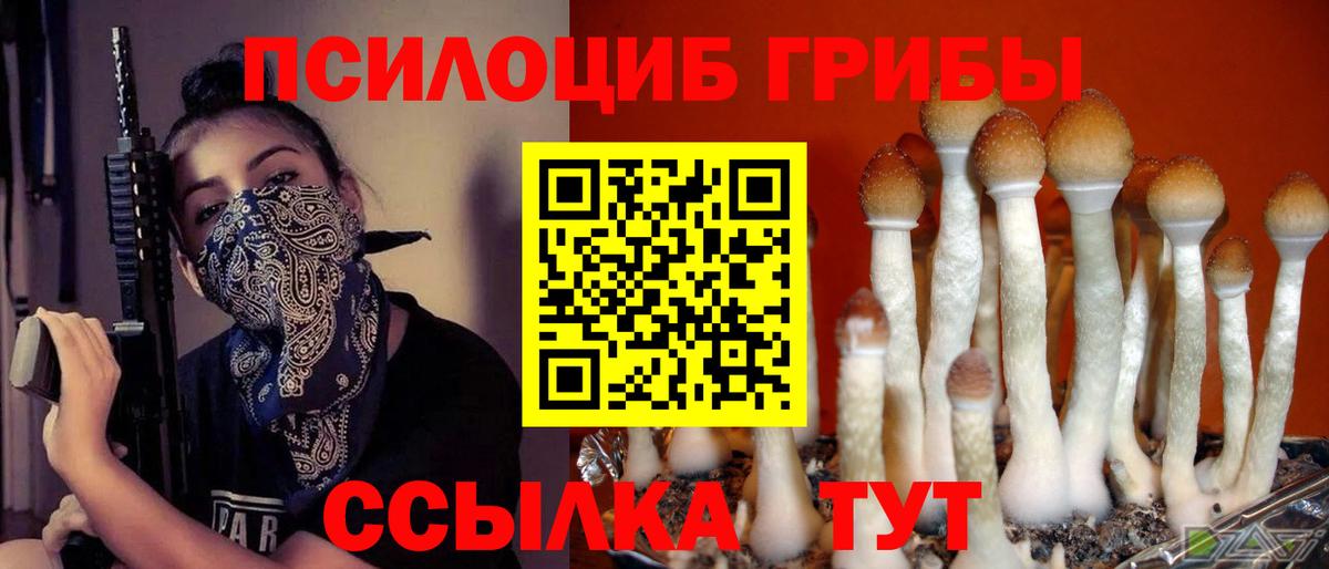Саки  Галлюциногенные грибы Magic Shrooms  Вход с VPN 